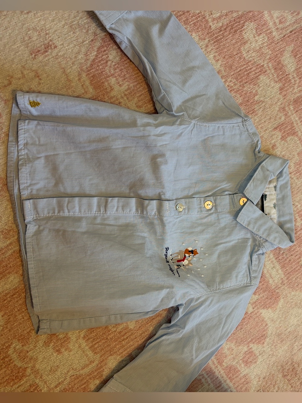 Boys' Light Blue Striped Button-Down Shirt with Fox Embroidery
